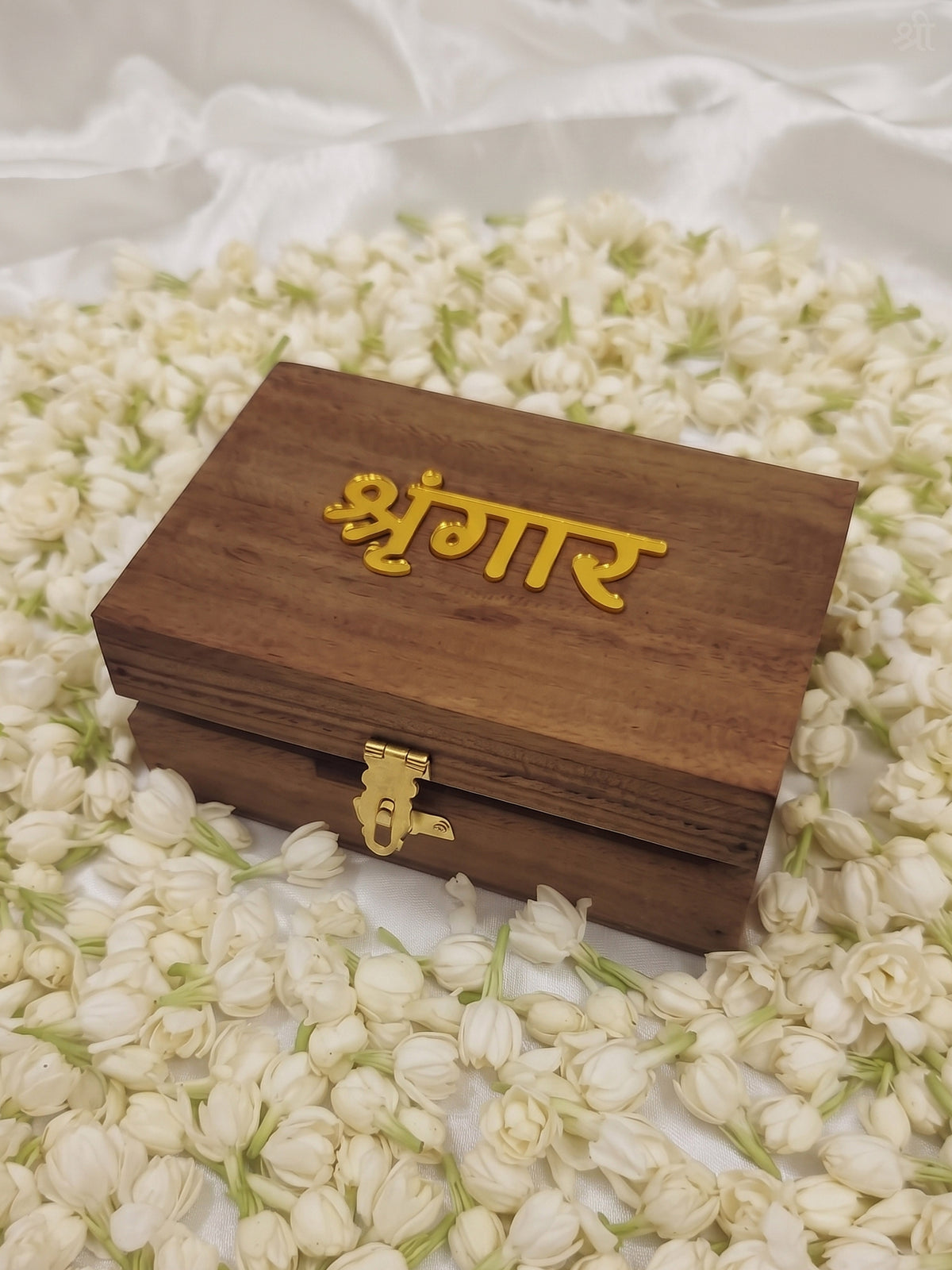 Shoot of Little Carrot Jewllery Box