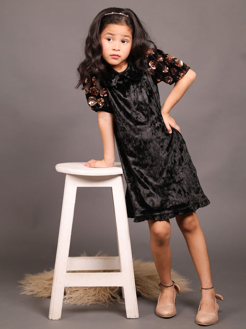 Little Carrot Chic Velvet Dress With Shimmering Sequin Sleeves, Autumn, premium kids' wear for girls, size 2-3-years.
