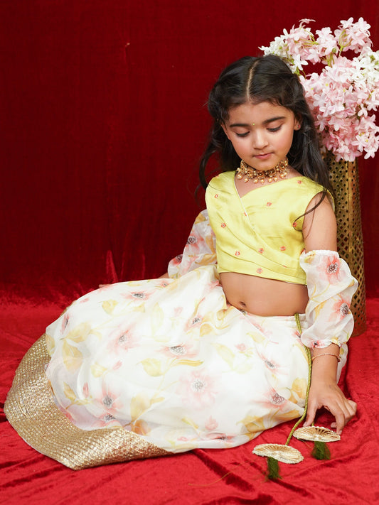 Little Carrot Girls Floral Lehenga With Pleated Blouse Floral Sleeves, Cotton Lined, premium kids' wear for girls, size 2-3-years.